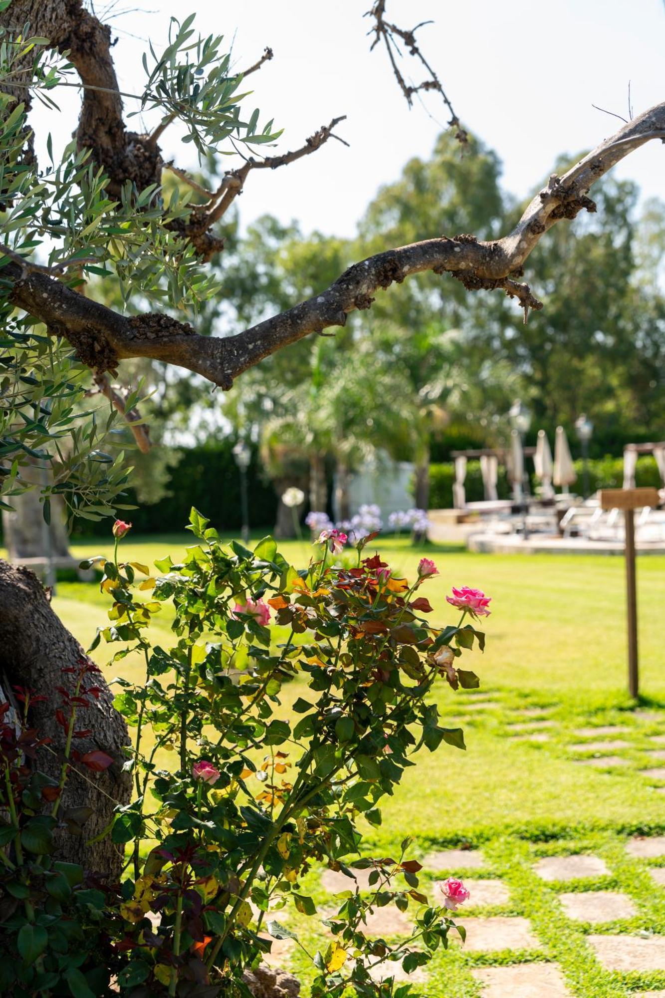 Masseria Giamarra Carpignano Salentino Ngoại thất bức ảnh